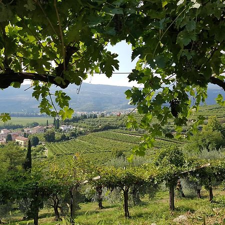 Agriturismo Valentina Cubi Fumane Kültér fotó