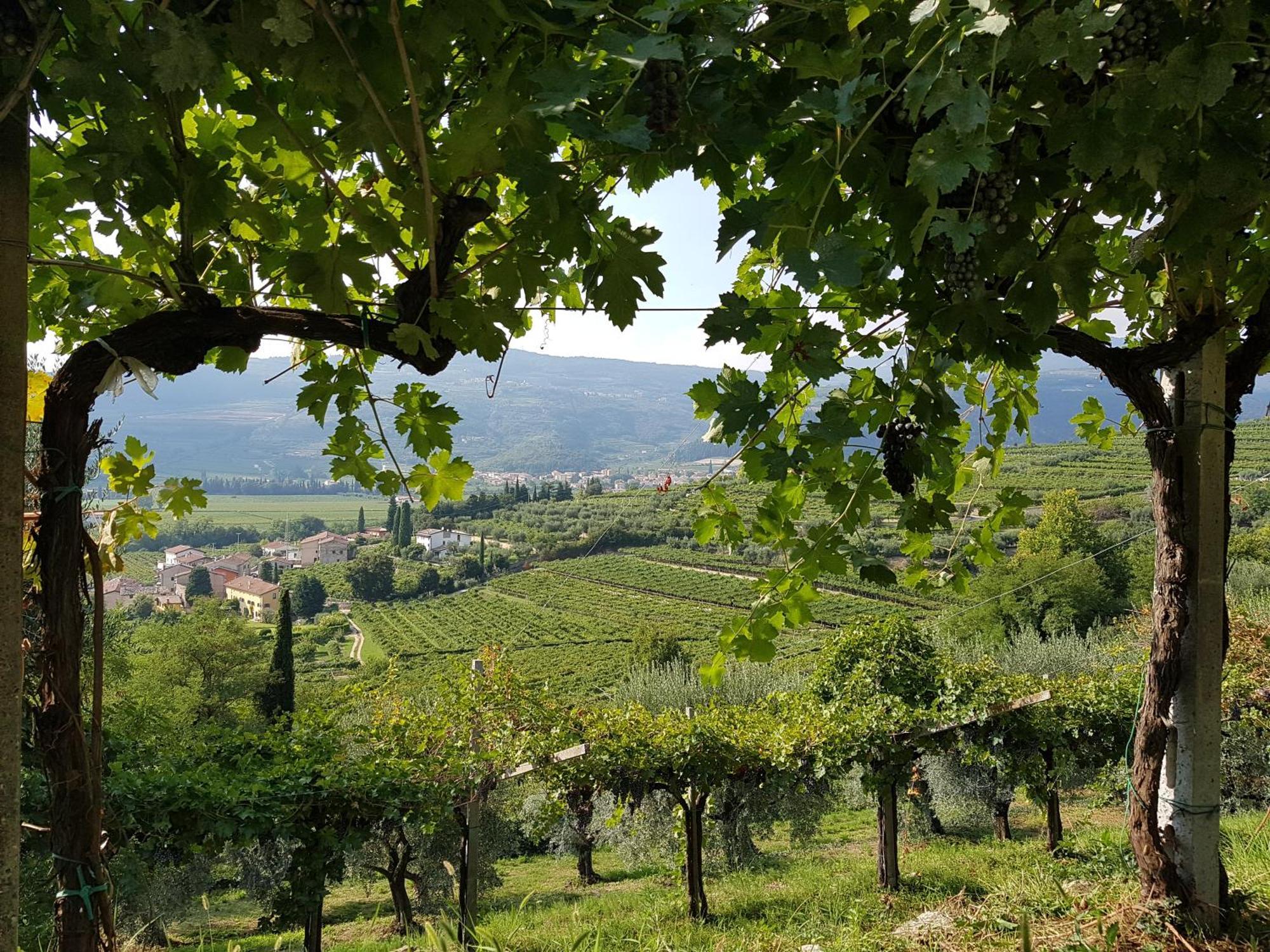 Agriturismo Valentina Cubi Fumane Kültér fotó