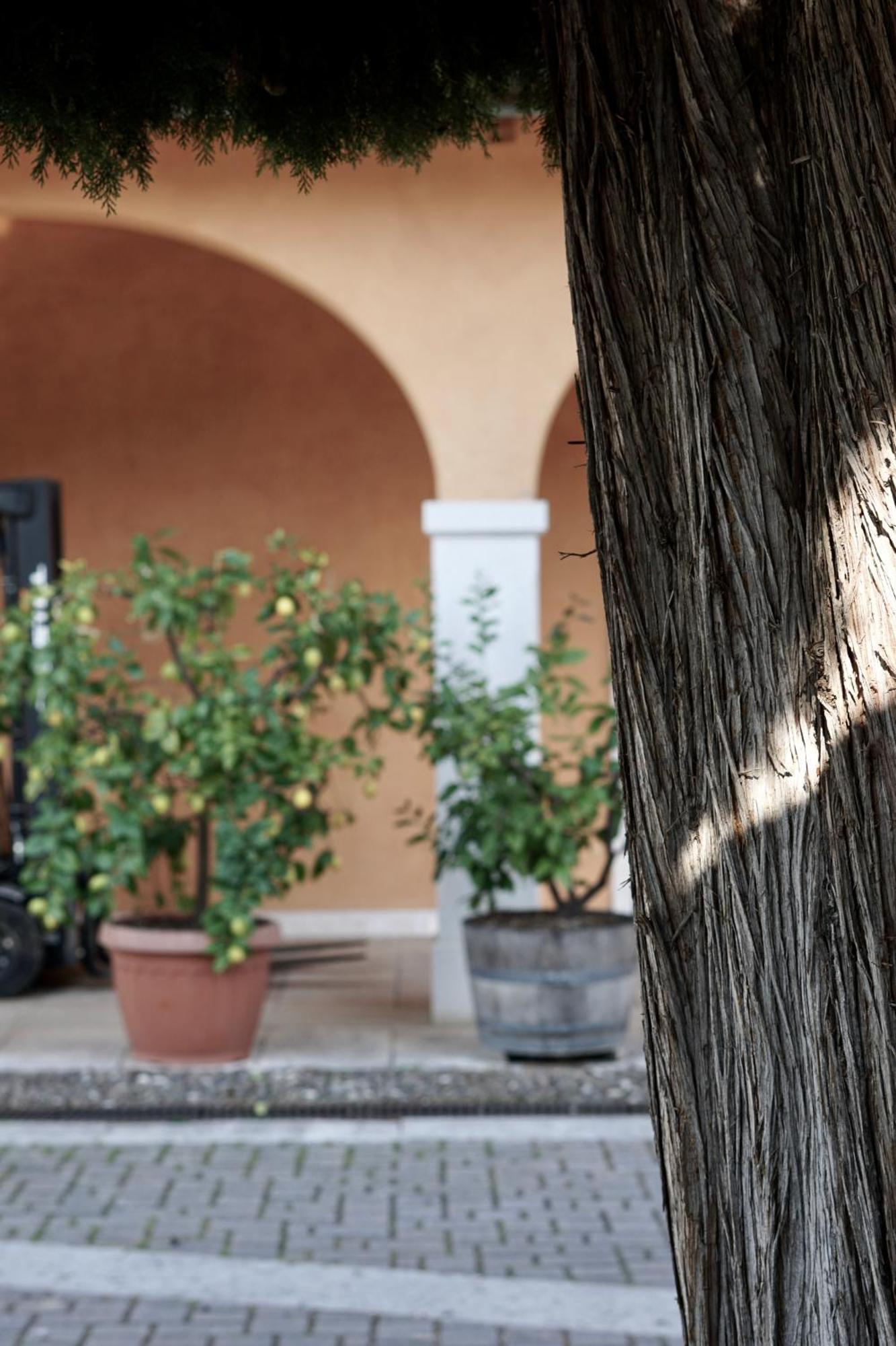Agriturismo Valentina Cubi Fumane Kültér fotó