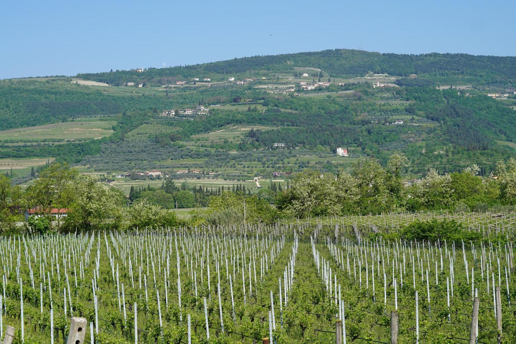 Agriturismo Valentina Cubi Fumane Kültér fotó